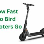 How Fast Do Bird Scooters Go