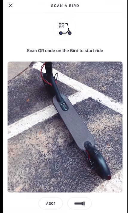 What Time Do Bird Scooters Turn Off