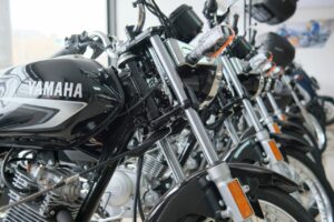 Yamaha Eluder Problems
